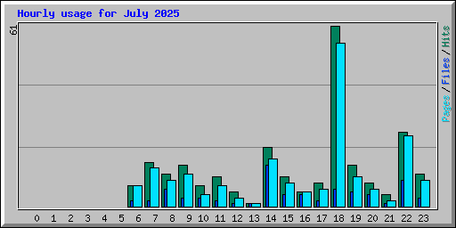 Hourly usage for July 2025
