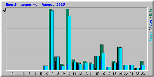 Hourly usage for August 2025