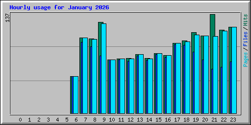 Hourly usage for January 2026